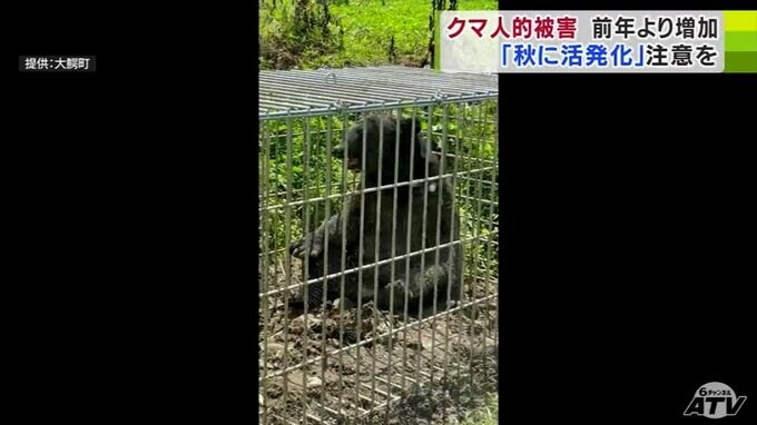 秋に活発化が予想される「クマ」6月には青森・八甲田山系で80代女性がクマに襲われ死亡…　県が「秋の行楽シーズン」に向け警戒強める「基本的な注意事項をお守りいただいて…」|TBS NEWS DIG