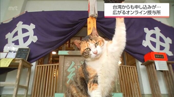 看板猫ミケちゃんの御朱印がSNSで話題に 遠方や海外からも申し込みが殺到する「オンライン授与所」とは　|　MRTニュース ｜ ＭＲＴ宮崎放送