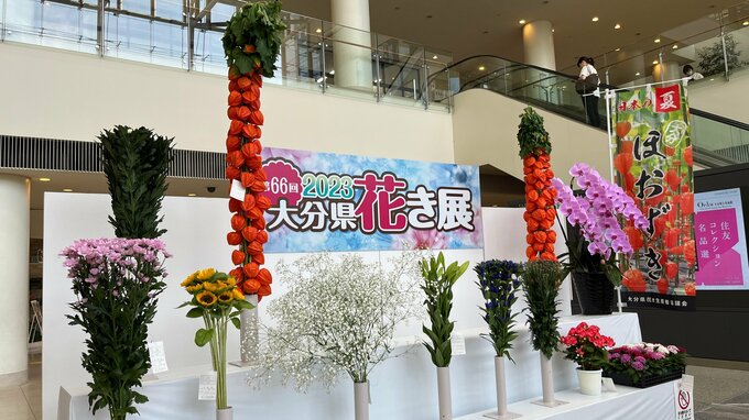 ヒマワリやホオズキなど夏の花が一堂に 大分　|　大分のニュース｜OBS NEWS｜大分放送
