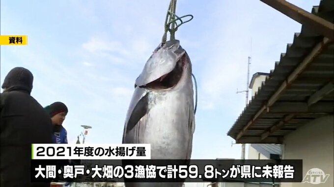 クロマグロ漁獲報告義務違反　3漁協で約60トン　行政処分検討へ　青森県　|　青森のニュース│ATV NEWS│青森テレビ