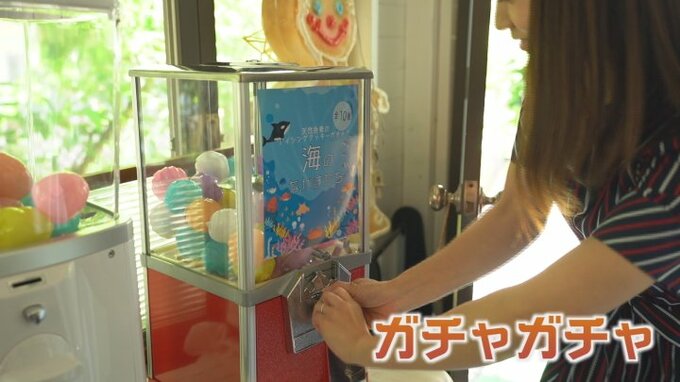 今再びブームの“ガチャガチャ”　出てくるカプセルの中身はこんなもの！　山梨　|　山梨のニュース | ＵＴＹテレビ山梨
