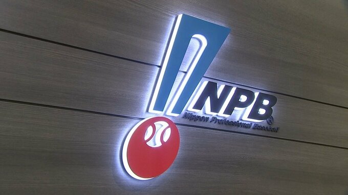 「会社経営者」がトップ　若手プロ野球選手の引退後進路希望　4割が「引退後の生活に不安」【NPB】|TBS NEWS DIG