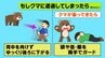 もし クマに遭遇してしまった場合、どうすれば…？　|　新潟のニュース・天気｜BSN NEWS｜BSN新潟放送