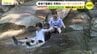 天然のウォータースライダーに歓声　猛暑でも涼しい滝すべり　最高気温38℃超えの広島県府中市　|　RCC NEWS | 広島ニュース | RCC中国放送