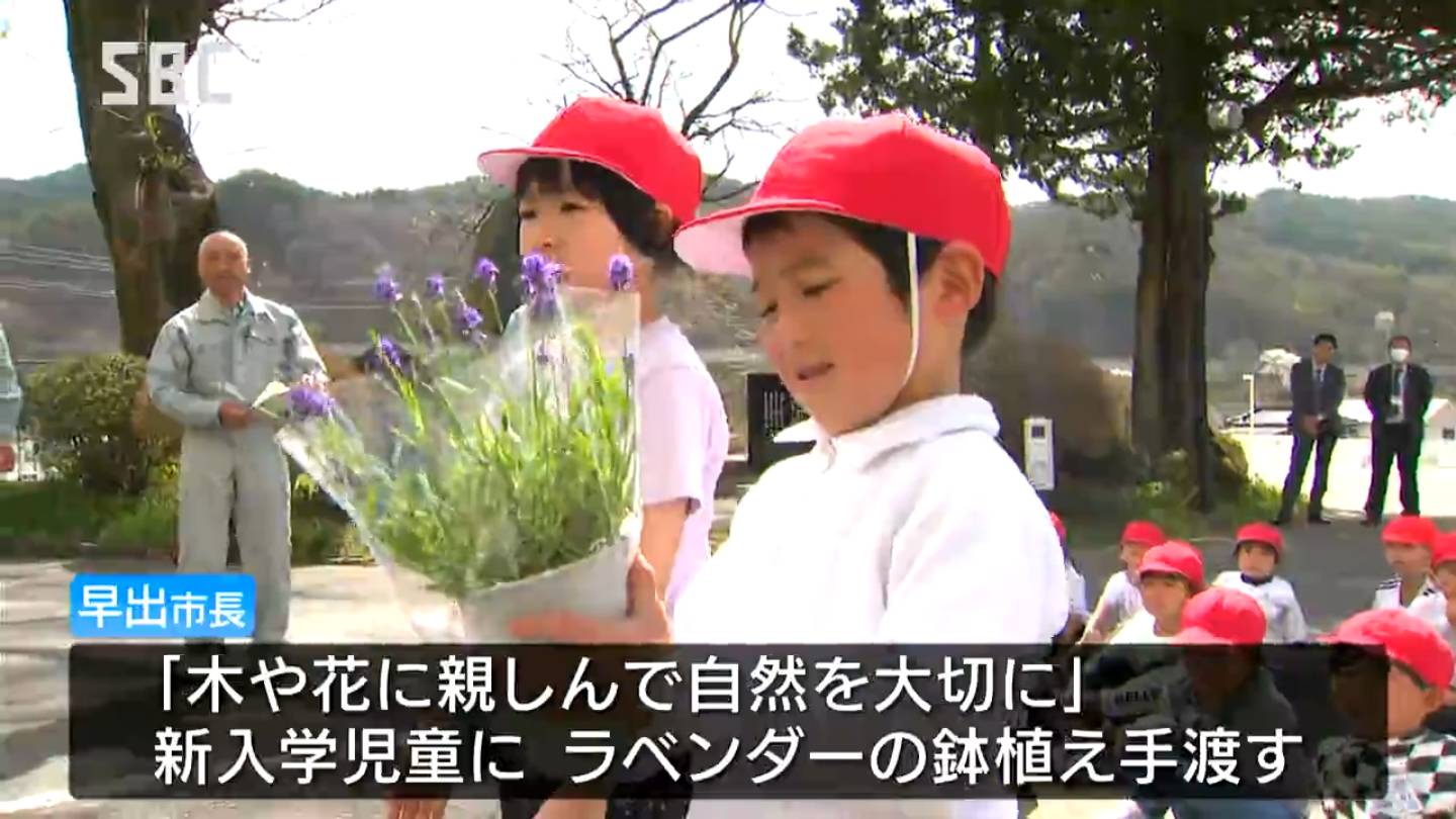 7つの小学校の新入学児童302人全員にラベンダーの鉢植えをプレゼント