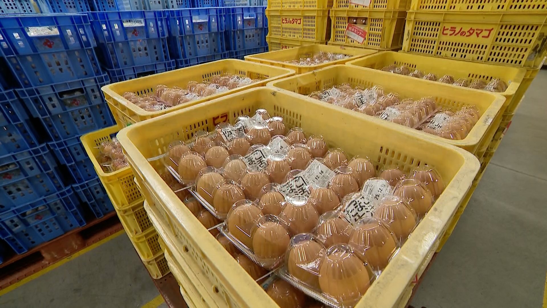 たまご高騰”エッグショック”超え 養鶏業者「来年6月頃まで高値続くの