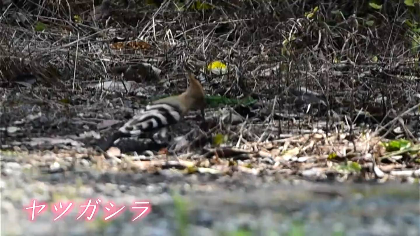 img_5cfeeb6bc5d3d99eb709e174b5