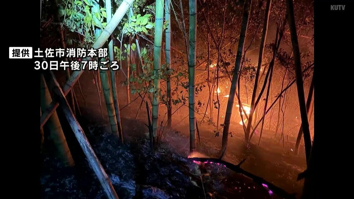 高知県土佐市の山林火災“鎮圧”状態に…“鎮火”に向けて今も消火活動　1月30日に発生