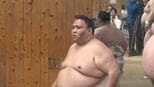 大相撲名古屋場所　中日　 御嶽海は尊富士と対戦|TBS NEWS DIG