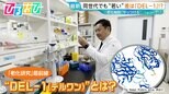 「同じ年齢でも“若々しい”」差は『DEL-1』にあり!?40代で激減…増やすには?老化研究の最前線を研究者に聞く【ひるおび】|TBS NEWS DIG