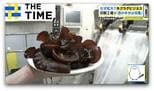年商4000万円も夢じゃない「キクラゲビジネス」なぜ拡大?【THE TIME,】|TBS NEWS DIG