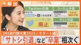 サトシ、うーたん、Twitterの鳥…卒業相次ぐ どれが分かる?ネットとSNSの流行語【Nスタ解説】|TBS NEWS DIG