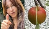 【 工藤静香 】 庭の「りんご」を堪能 「あま~い!」「おいしい!」と笑顔|TBS NEWS DIG