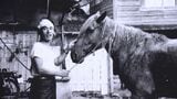 戦後80年 “馬と戦争” 「たいせつな馬も戦地へとられた」葬り去られた歴史 ないはずの史料が鏡野町に【岡山】 | 岡山・香川のニュース | 天気 | RSK山陽放送