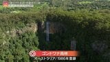 オーストラリアの世界遺産「太古の森・ゴンドワナ雨林」貴重な固有種の撮影に成功!|TBS NEWS DIG