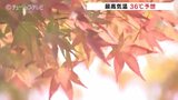 猛暑日の予想も午後から所によっては雷雨の見込み モミジわずかに色づき 街なかで季節の変化 富山|TBS NEWS DIG