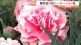 宮城・柴田町で「カーネーション」のゆうパック発送式 5月10日の"母の日"用のプレゼントとして|TBS NEWS DIG