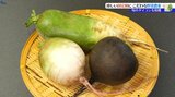 品種改良を行わずに長い時間をかけて受け継がれてきた「固定種」を育てる野菜農家 岩手・北上市 | IBC NEWS | IBC岩手放送