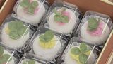 四つ葉のクローバーで町おこし クッキーなどの販売や摘み取り体験 愛知・田原市 | 名古屋・愛知・岐阜・三重のニュース【CBC news】 | CBC web