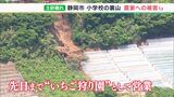 2日間で半月分の雨量 静岡市久能小学校の裏山で土砂崩れ 雨の後の注意点とは(静岡県) | 静岡のニュース | SBSNEWS | 静岡放送