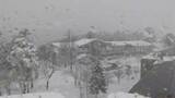 岡山県北部では24日夜遅くまで大雪に注意 積雪50センチ超の地点も|TBS NEWS DIG