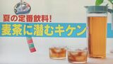 夏の定番「麦茶」に潜むキケン 出しっぱなし厳禁・6日目以降は要注意 作るなら煮出しよりも水出しでベストは“急冷”|TBS NEWS DIG