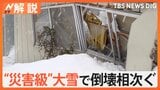 青森で“災害級”の大雪続く 屋根崩落…建物被害が急増、日本海側の大雪 週末も続く?【Nスタ解説】|TBS NEWS DIG