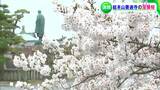 【満開の画像】「先に幸せをもらったよう」河津桜に涅槃桜も 早咲きの桜が各地で満開【岡山・香川】|TBS NEWS DIG