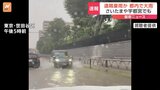 台風離れた都内でも激しい雨 東京23区の一部でも大雨警報 大気の状態が非常に不安定|TBS NEWS DIG