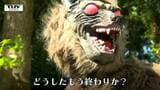 野生動物対策「モンスターウルフ」導入!クマ、イノシシよ去れ!50種類以上の音声で農作物などを守る(山形市) | 山形のニュース│TUYテレビユー山形