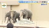 「この日を待ちわびていた」　大阪・天王寺動物園に８年ぶりにゾウがやって来た！ 約４５億円を投じて飼育環境を整備「自分の目でゾウを感じていただきたい」　|　MBSニュース | 関西の最新ニュースを分かりやすく。