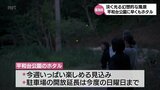 宮崎市の平和台公園でホタルが舞い始める 19日までは駐車場の開放時間を延長 | MRTニュース | MRT宮崎放送