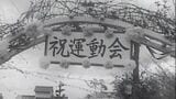運動会で見る「昭和100年」 消えた「組体操」・命がけ?珍しい「車の運動会」・保護者がビデオ撮影・予備校や会社も運動会|TBS NEWS DIG