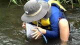 「生態系が学べた」夏休みの自由研究にもぴったり!生き物の観察会で甲突川の自然の豊かさ学ぶ|TBS NEWS DIG