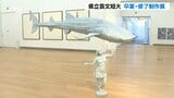 学生93人の感性あふれる力作142点展示 県立芸文短大美術科 卒業・修了制作展 大分 | 大分のニュース|OBS NEWS|大分放送