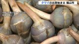 「芽が出る縁起物」クワイの出荷始まる 「おせちなどで食べて」 広島県福山市|TBS NEWS DIG