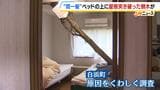 【間一髪】家の屋根突き破り倒木がベッドに直撃、就寝中の男性のすぐ脇に刺さる　「もうちょっとずれていたら本当にやばかった」 緊迫の瞬間語る　幸いケガなし　 強風影響の可能性も　和歌山・白浜町 　|　MBSニュース | 関西の最新ニュースを分かりやすく。