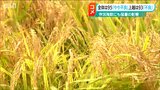 全国最低水準のコメ作況…岐路に立つ「コメ王国 新潟」で開発が進む“暑さに強いコシヒカリ”とは | 新潟のニュース・天気|BSN NEWS|BSN新潟放送