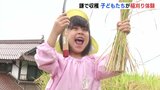 おにぎりにして食べたい　鎌を使って子どもたちが稲刈り体験　　|　RCC NEWS | 広島ニュース | RCC中国放送