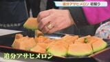 【初競り】5玉で50万円!「追分アサヒメロン」糖度14度以上などの厳しい検査基準 競り落とした業者はSNSの生配信⇒完売するひと幕も | 北海道のニュース|HBC北海道放送