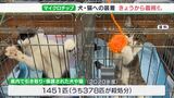 378匹殺処分された年も…飼育放棄の抑止力期待も　きょうから販売犬・猫へのマイクロチップの装着義務化スタート（静岡県）|TBS NEWS DIG