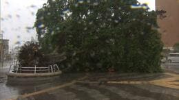 台風6号　沖縄で最大瞬間風速40.6メートル　少なくとも12人けが　|　沖縄のニュース｜RBC 琉球放送