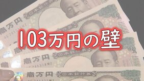 今さら聞けない…「103万円の壁」とは？　「178万円」でどうなる？　実は「106万円の壁」「130万円の壁」も…ファイナンシャルプランナーが分かりやすく解説|TBS NEWS DIG