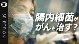 【あなたの腸内細菌が命を救う】人間の“第2の脳”マイクロバイオーム／フランスで瀕死のがん患者救った「うんち」活用した新たな治療法／製薬大手も参入…パーキンソン病や肥満への応用も| TBS CROSS DIG with Bloomberg