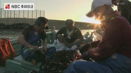 錆び取り、佐川送料込みに変更】IVANKO イヴァンコ OB-ECON 錆び取り