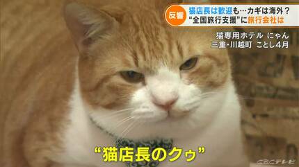 猫店長も歓迎!? “ 全国旅行支援”に三重県の旅行会社「予約3倍 断然