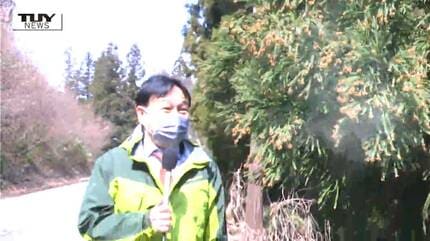 風邪？ 花粉症？」増える子どもの花粉症 医師に見分けるポイントを聞く