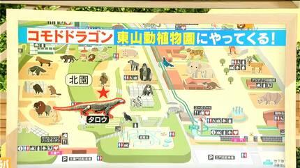 世界に数千頭しかいないコモドドラゴンが名古屋に 河村たかし市長が