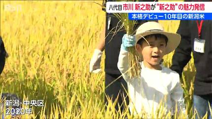 13歳の八代目市川新之助さん「本当にすごいんだと改めて実感」デビュー