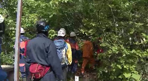 ネマガリダケ採りに入り…行方不明に　神奈川県の68歳男性　飯山市の山林に同僚2人とともに入山　長野　|　SBC NEWS | 長野のニュース | SBC信越放送
